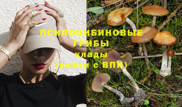 мяу мяу мука Алексеевка