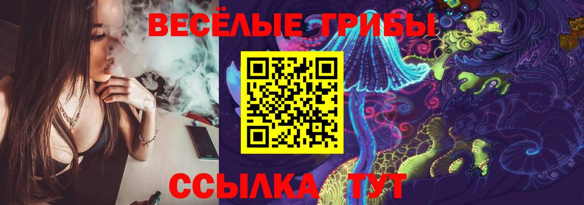 Псилоцибиновые грибы Cubensis Знаменск